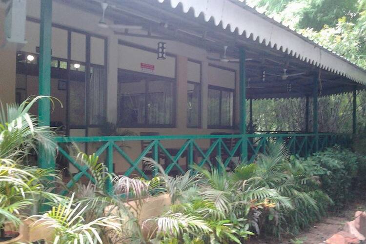 MPT Jungle Resort, Vidisha 5